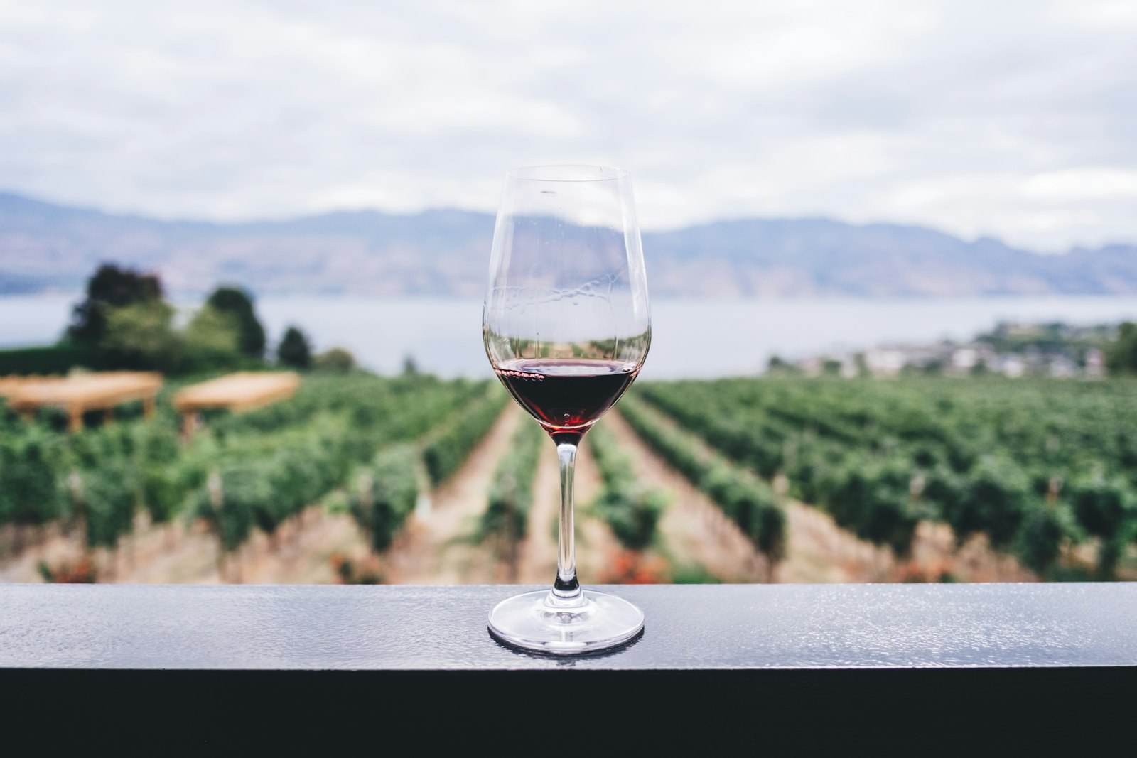 Vins de la région